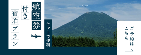 画像:航空券付き