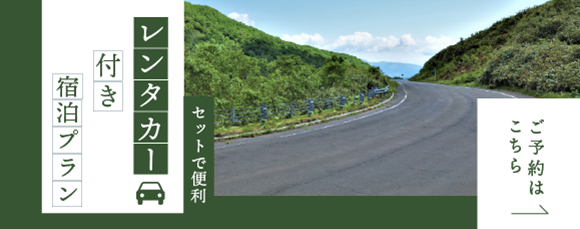 画像:レンタカー付き